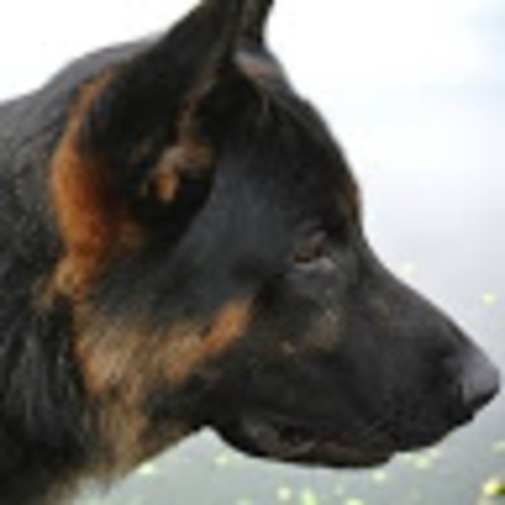 Meet your Posher, Beth